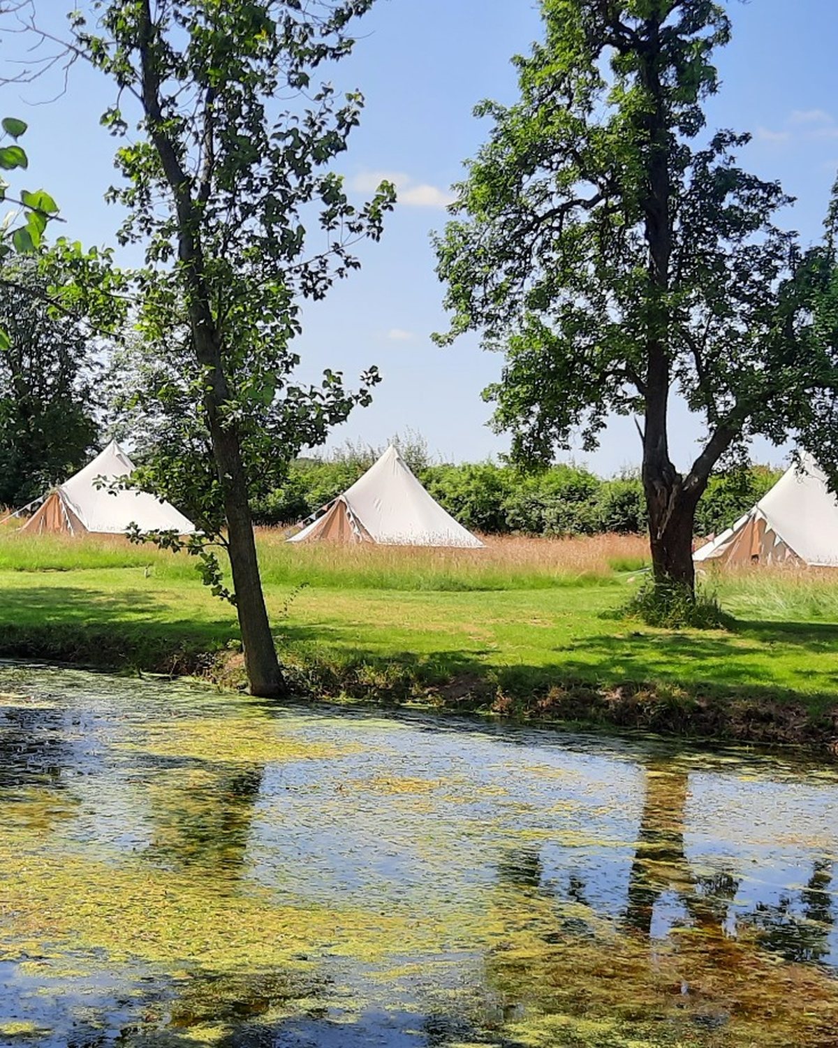 Bell tent setup by Norfolk Bell Tent Hire